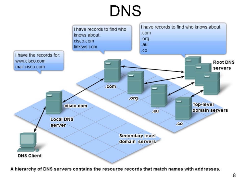 8 DNS